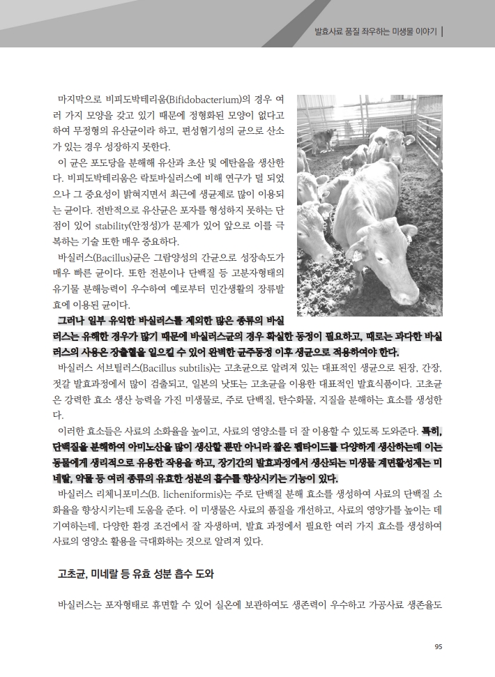 4c9b4aef0e70e8fc584bda6d41f52f66_1773106129_9097.jpg 4c9b4aef0e70e8fc584bda6d41f52f66_1773106129_9097.jpg